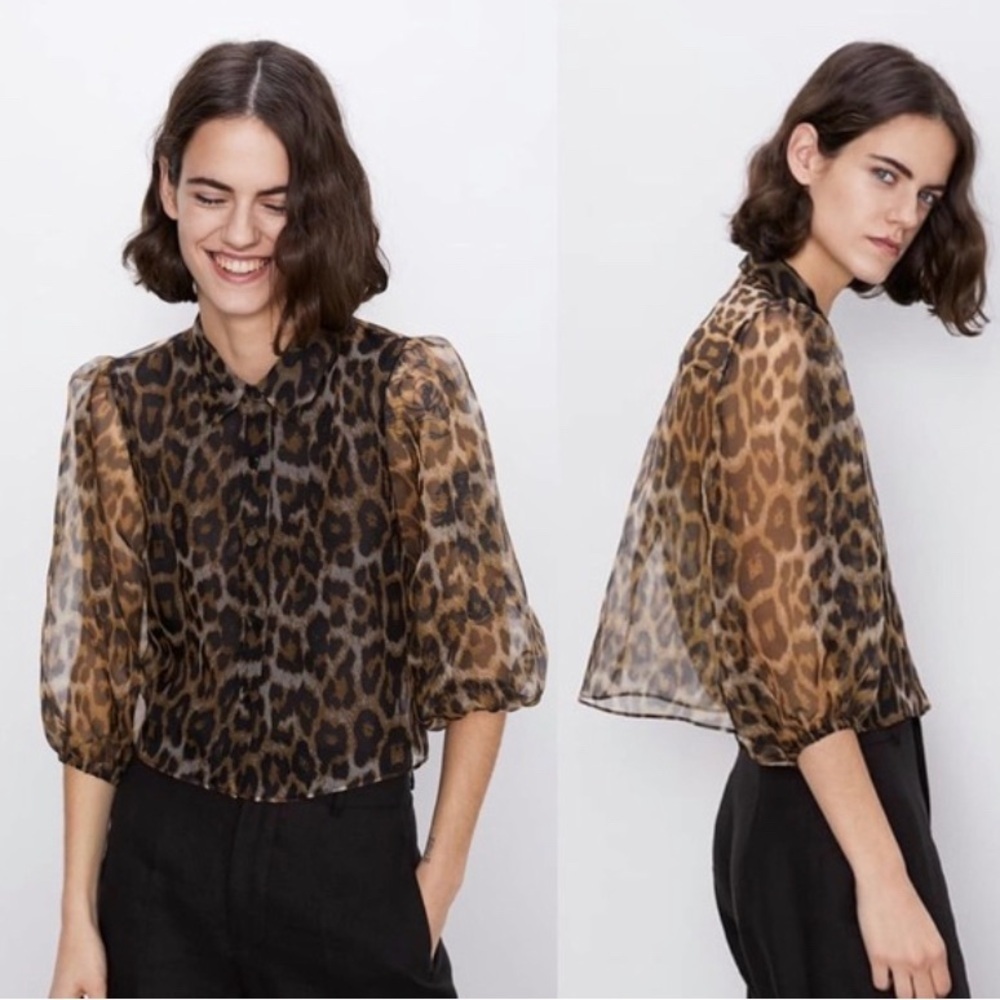 Zara Brown Black Leopard Print Sheer Blouse